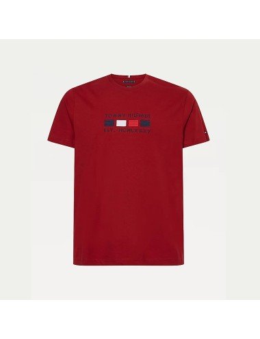 Tommy Hilfiger Red Men t -Shirt