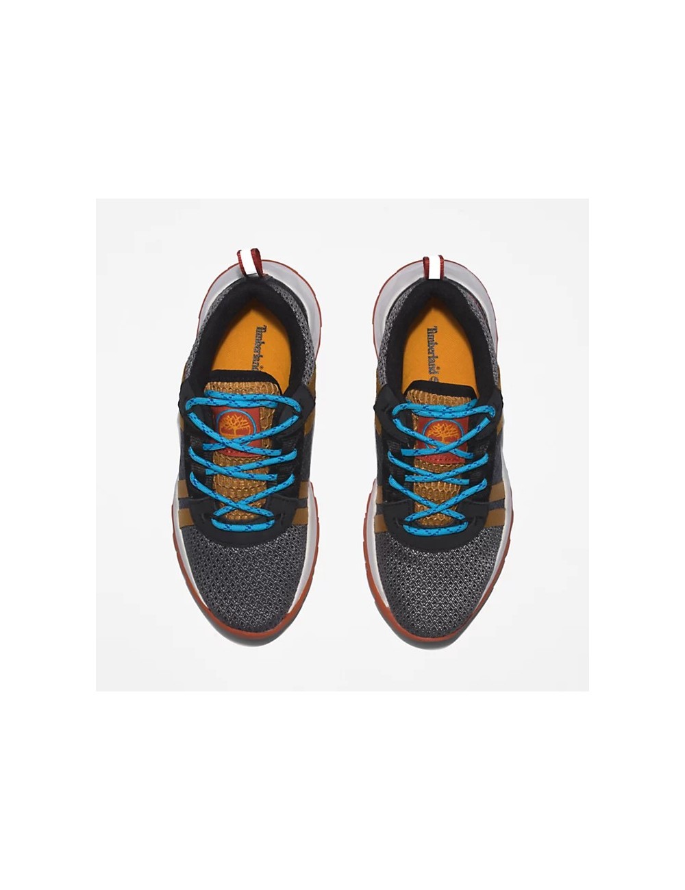 SNEAKERS TIMBERLAND SOLAR WAVE LT LOW